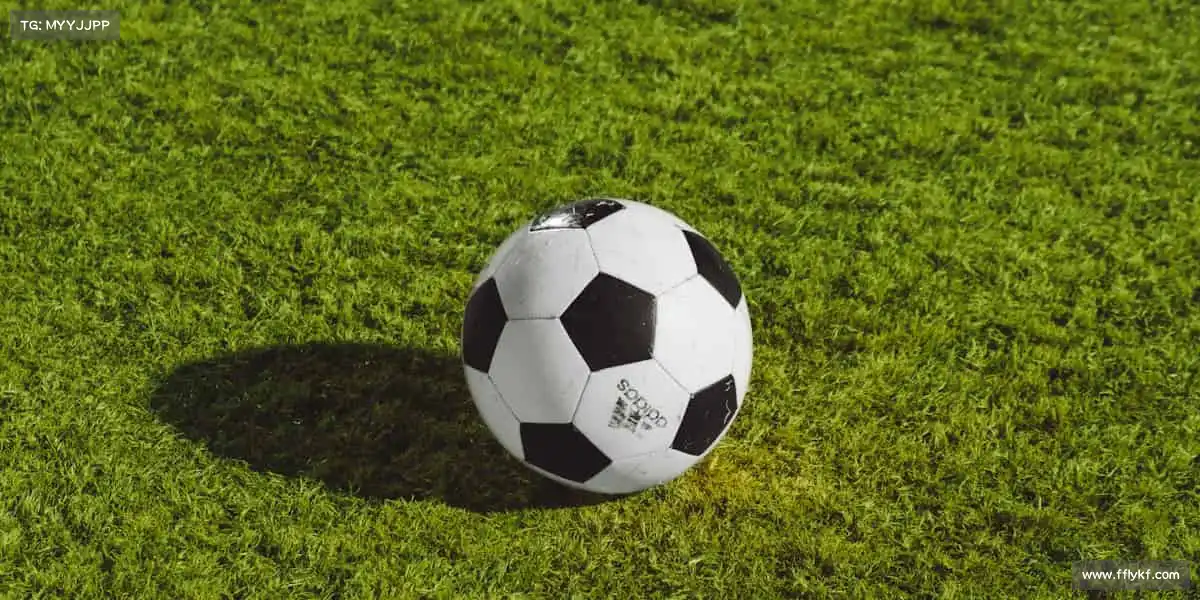 必威体育——全民体育，共赴健康新征程！🎾